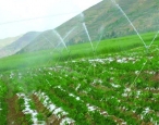 PE灌溉管销售生产